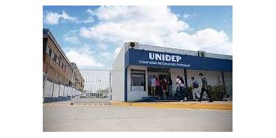 UNIVERSIDAD DEL DESARROLLO PROFESIONAL