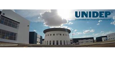UNIVERSIDAD DEL DESARROLLO PROFESIONAL