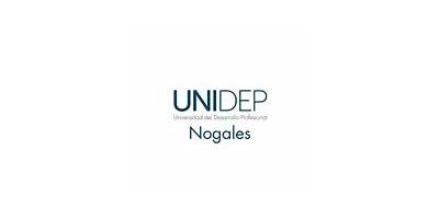 UNIVERSIDAD DEL DESARROLLO PROFESIONAL