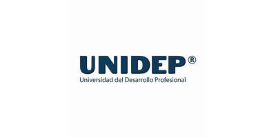 UNIVERSIDAD DEL DESARROLLO PROFESIONAL
