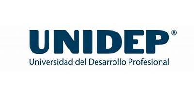 UNIVERSIDAD DEL DESARROLLO PROFESIONAL UNIDAD MAZATLAN