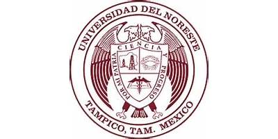 UNIVERSIDAD DEL NORESTE