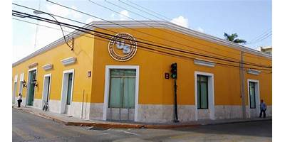 UNIVERSIDAD DEL SUR