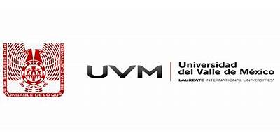 UNIVERSIDAD DEL VALLE DE MEXICO