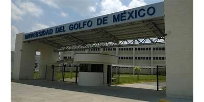 UNIVERSIDAD GLOBAL DE MEXICO UGM A.C.