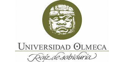 UNIVERSIDAD OLMECA - DIVISIÓN DE CIENCIAS MULTIDISCIPLINARIAS