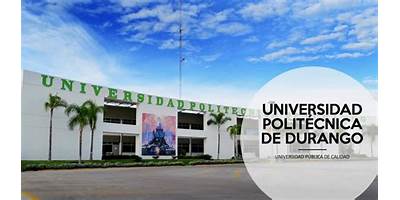 UNIVERSIDAD POLITECNICA DE DURANGO