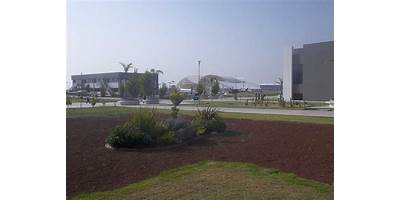 UNIVERSIDAD POLITECNICA METROPOLITANA DE HIDALGO