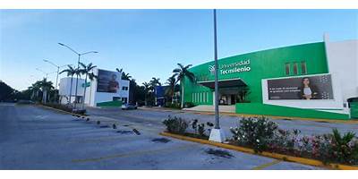 UNIVERSIDAD TEC MILENIO CANCUN