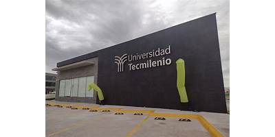 UNIVERSIDAD TEC MILENIO QUERETARO