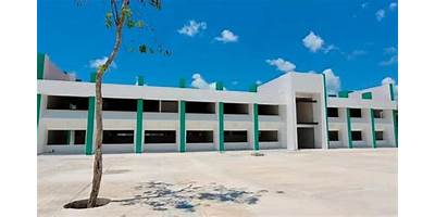 UNIVERSIDAD TECNOLÓGICA DE TULUM