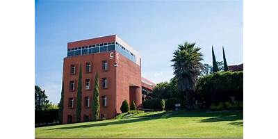 UNIVERSIDAD VASCO DE QUIROGA QUERETARO