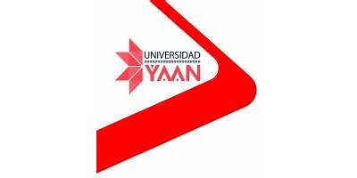 UNIVERSIDAD YAAN