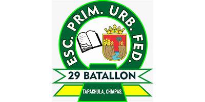 29 BATALLON DE INFANTERIA