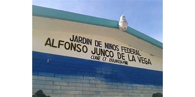 ALFONSO JUNCO DE LA VEGA