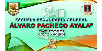 ALVARO PACHECO AYALA