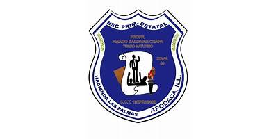 AMADO SALDIVAR CHAPA