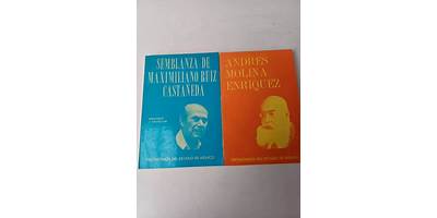 ANDRES MOLINA ENRIQUEZ