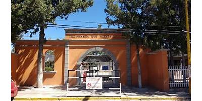 ANEXA A LA NORMAL