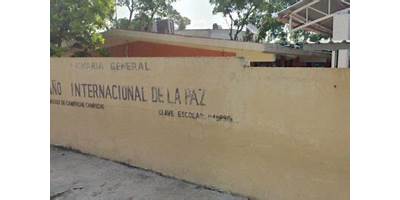 AÑO INTERNACIONAL DE LA PAZ