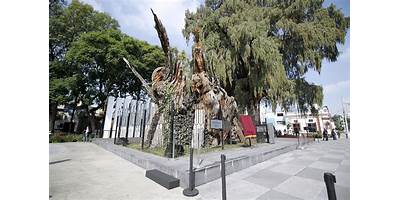 ARBOL DE LA NOCHE TRISTE