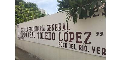 ARMANDO ESAU TOLEDO LOPEZ