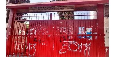 C GRAL DE DIV FELIX IRETA VIVEROS