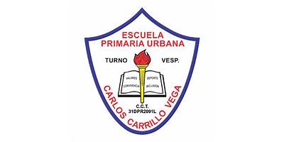 CARLOS CARRILLO VEGA