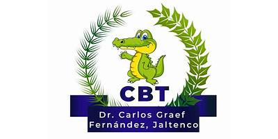 CARLOS GRAEF FERNANDEZ