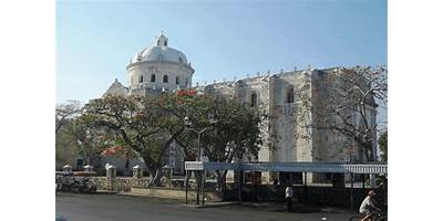 CARLOS P. MOLAS GAMBOA