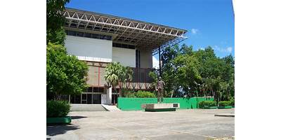 CARLOS PELLICER CAMARA