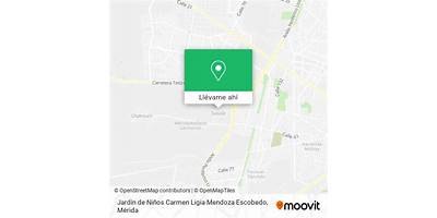 CARMEN LIGIA MENDOZA ESCOBEDO
