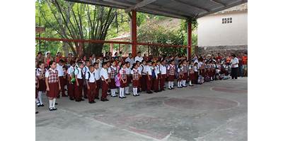 CEDROS DE LIBANO