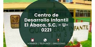 CENTRO DE DESARROLLO INFANTIL EL ABACO S.C.