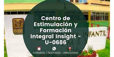 CENTRO DE ESTIMULACION Y FORMACION INTEGRAL INSIGHT