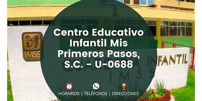CENTRO EDUCATIVO INFANTIL MIS PRIMEROS PASOS