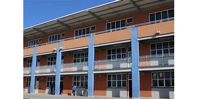 COLEGIO ÁLAMO