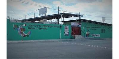 COLEGIO ARAJAVI