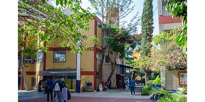 COLEGIO ARTURO ROSENBLUETH