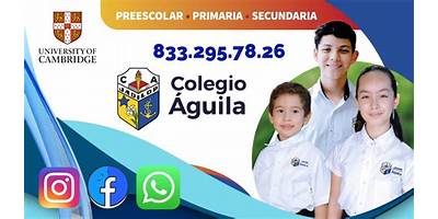 COLEGIO BILINGÜE AGUILA