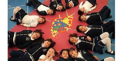 COLEGIO BILINGÜE CAMBRIDGE