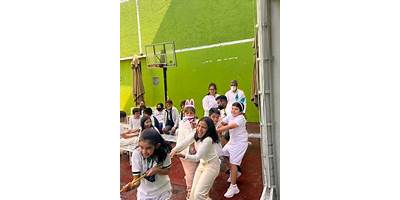 COLEGIO BILINGÜE D´ALEMBERT