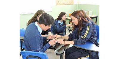 COLEGIO BUCARELLI