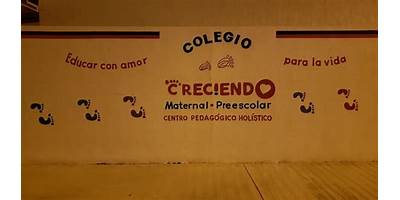 COLEGIO CRECIENDO