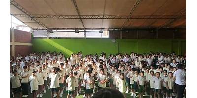 COLEGIO DAVID PAUL AUSUBEL