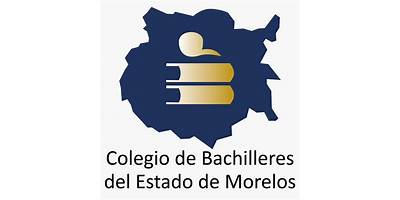 COLEGIO DE DESARROLLO INTEGRAL DEL ADOLECENTE