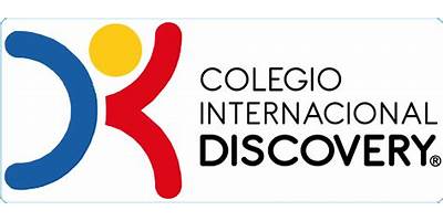 COLEGIO DISCOVERY NUEVO MILLENIUM
