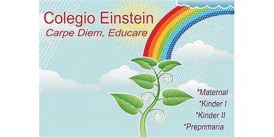 COLEGIO EINSTEIN, CARPE DIEM, EDUCARE
