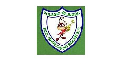COLEGIO FRANCISCO GABILONDO SOLER