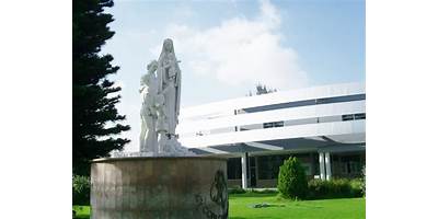 COLEGIO MARISTA A.C.